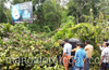 Puttur: Couple injured as tree rolls over autorickshaw at Sampya